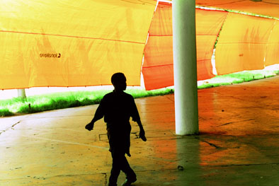 Ibirapuera - 1981